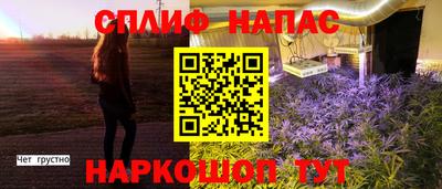 гидропоника Пенза