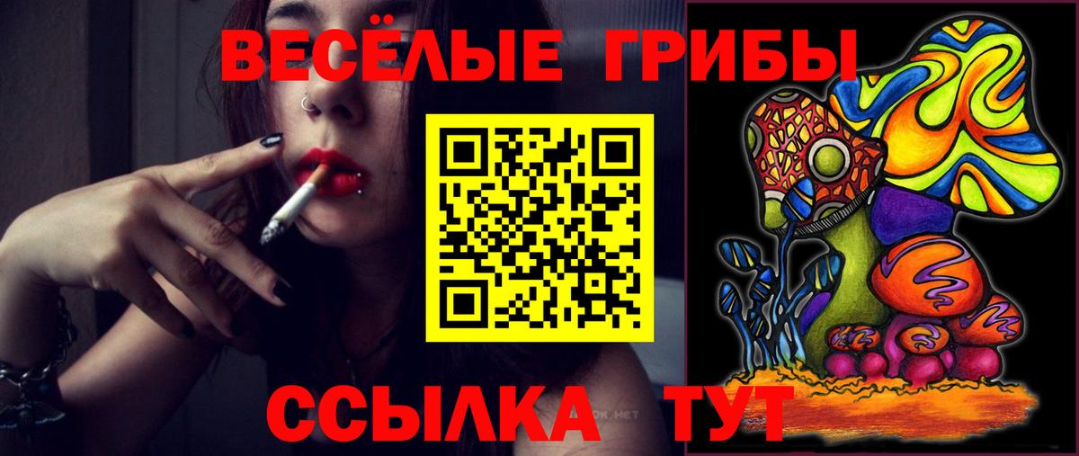 Галлюциногенные грибы Cubensis  Вход с VPN  Солнечногорск 