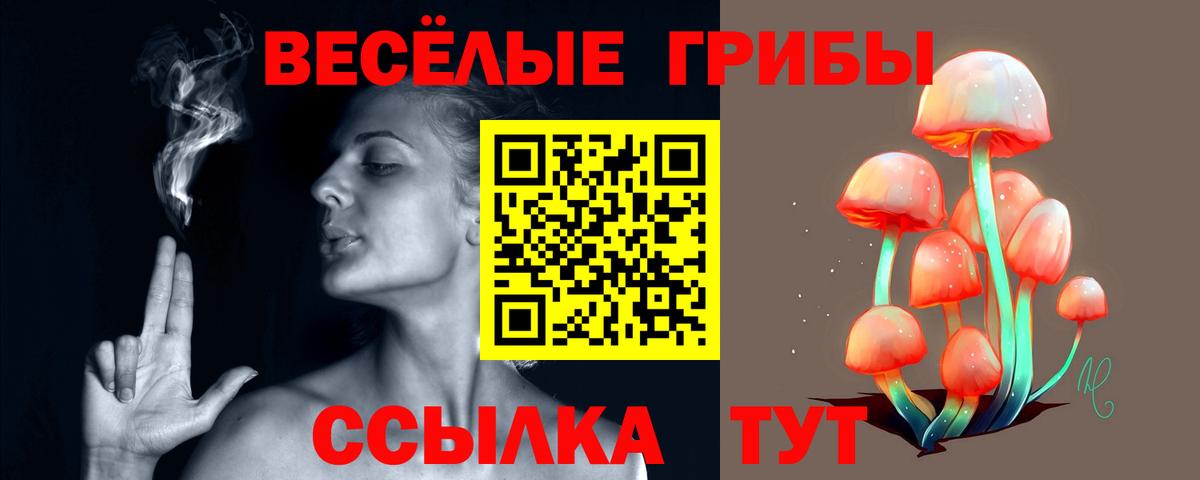 Галлюциногенные грибы мицелий Солнечногорск